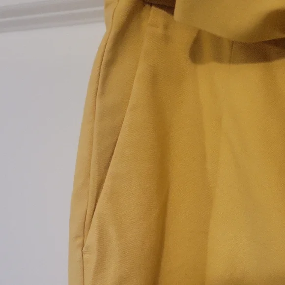 Ann Taylor Yellow Tie-Waist Trousers - Picture 5 of 10
